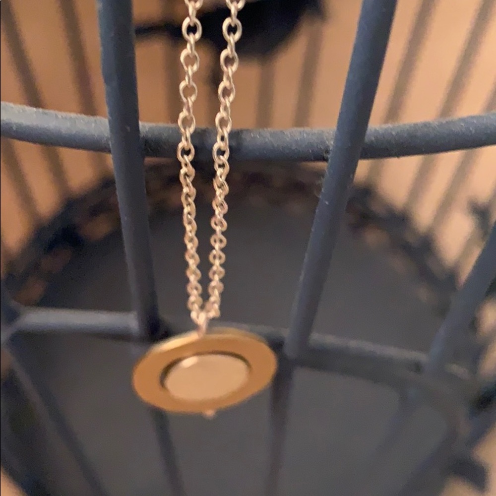 Two Tone Silver & Gold Delicate Necklace